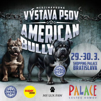 american-bully-shopping-palace